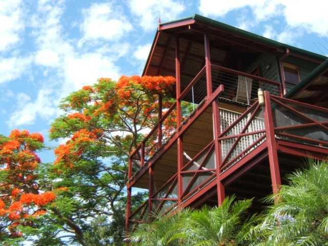 Maleny Tropical Retreat Bed & Breakfast Eksteriør bilde