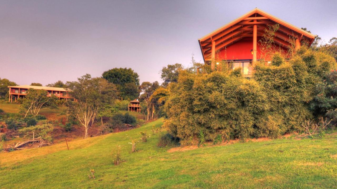 Maleny Tropical Retreat Bed & Breakfast Eksteriør bilde