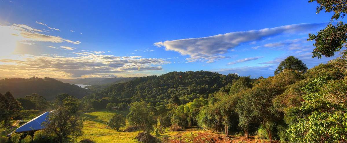 Maleny Tropical Retreat Bed & Breakfast Eksteriør bilde